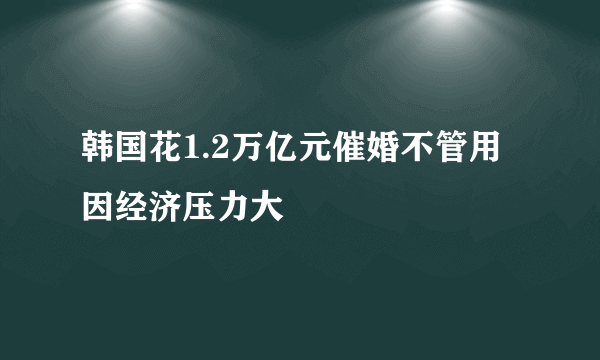 韩国花1.2万亿元催婚不管用 因经济压力大