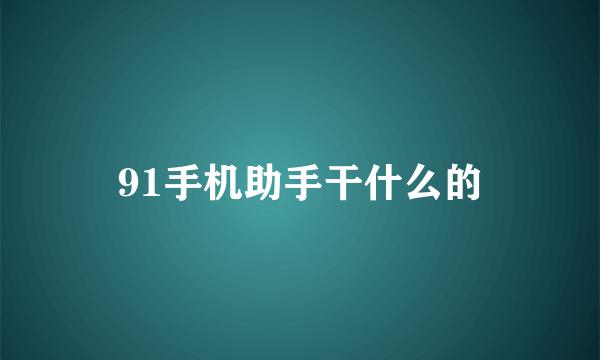 91手机助手干什么的