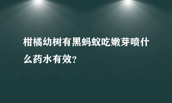 柑橘幼树有黑蚂蚁吃嫩芽喷什么药水有效？