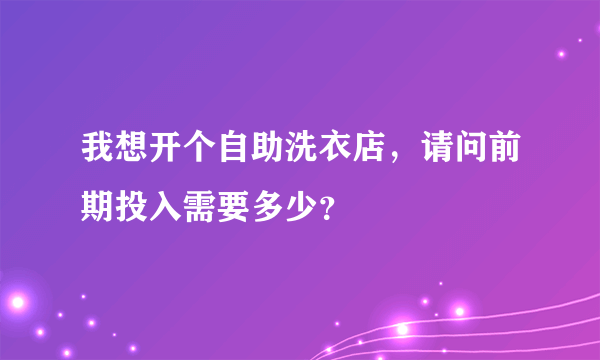 我想开个自助洗衣店，请问前期投入需要多少？