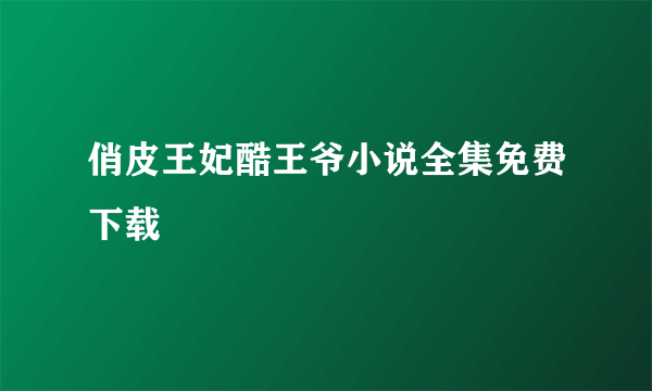 俏皮王妃酷王爷小说全集免费下载