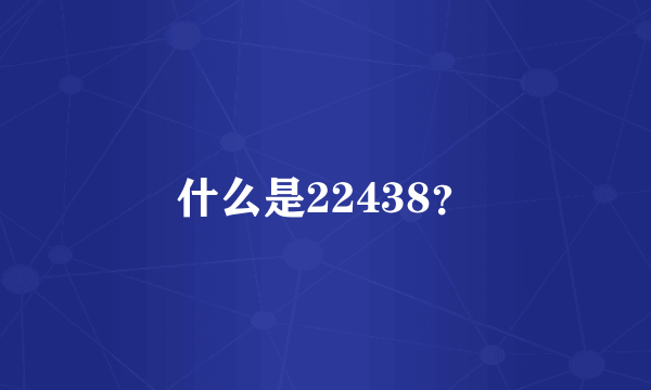 什么是22438？