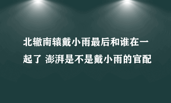 北辙南辕戴小雨最后和谁在一起了 澎湃是不是戴小雨的官配