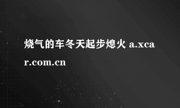 烧气的车冬天起步熄火 a.xcar.com.cn