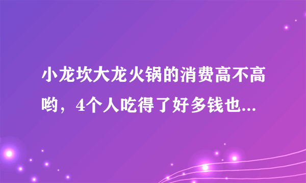 小龙坎大龙火锅的消费高不高哟，4个人吃得了好多钱也（注：肉食动物）