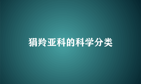 狷羚亚科的科学分类