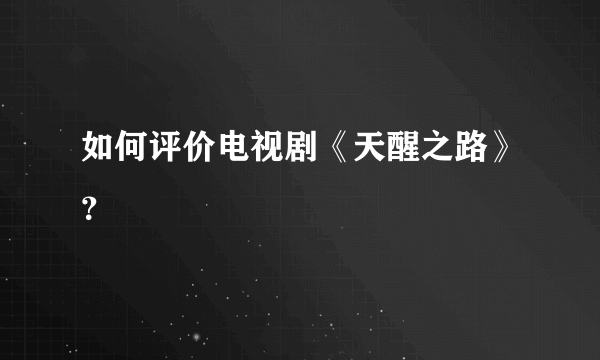 如何评价电视剧《天醒之路》？