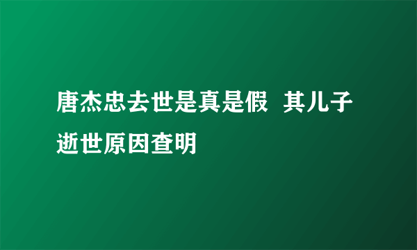 唐杰忠去世是真是假  其儿子逝世原因查明