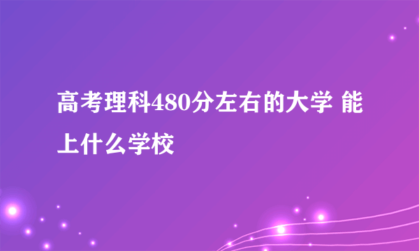 高考理科480分左右的大学 能上什么学校