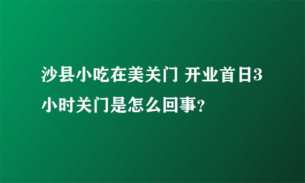 沙县小吃在美关门 开业首日3小时关门是怎么回事？