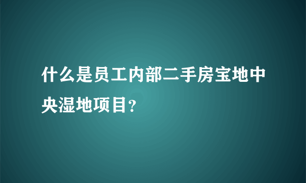 什么是员工内部二手房宝地中央湿地项目？