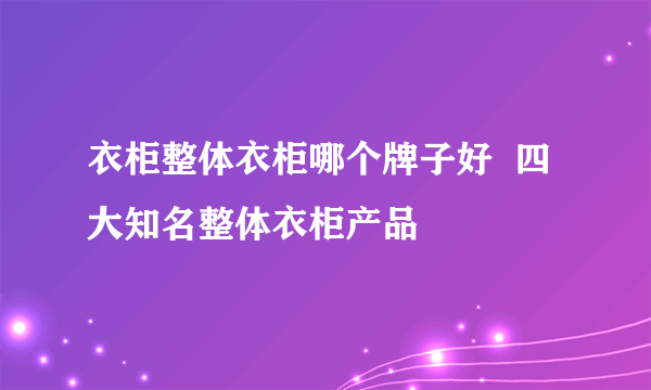 衣柜整体衣柜哪个牌子好  四大知名整体衣柜产品