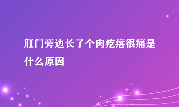 肛门旁边长了个肉疙瘩很痛是什么原因