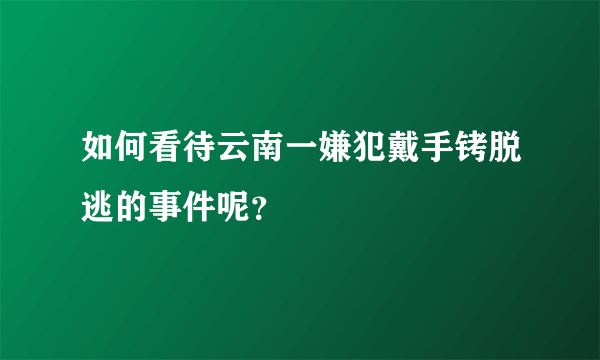 如何看待云南一嫌犯戴手铐脱逃的事件呢？