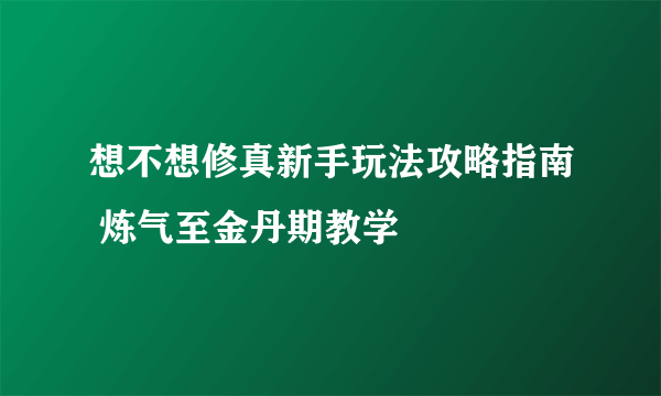 想不想修真新手玩法攻略指南 炼气至金丹期教学