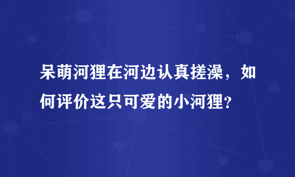 呆萌河狸在河边认真搓澡，如何评价这只可爱的小河狸？