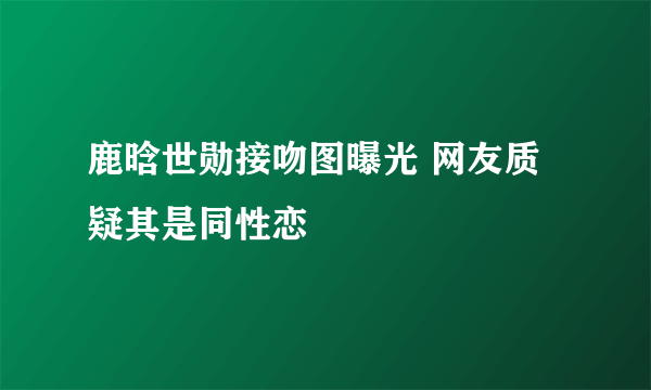 鹿晗世勋接吻图曝光 网友质疑其是同性恋