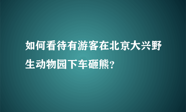 如何看待有游客在北京大兴野生动物园下车砸熊？