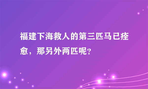 福建下海救人的第三匹马已痊愈，那另外两匹呢？