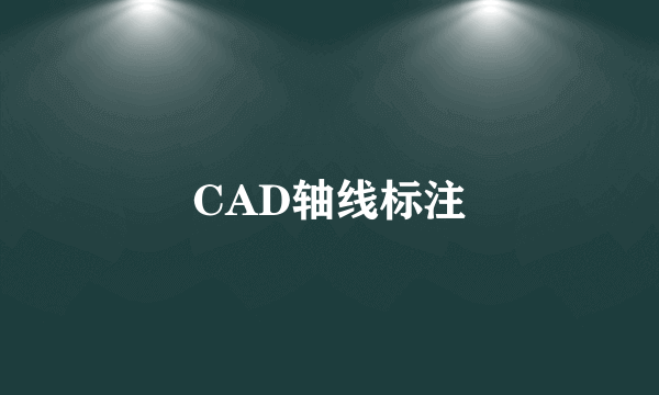 CAD轴线标注