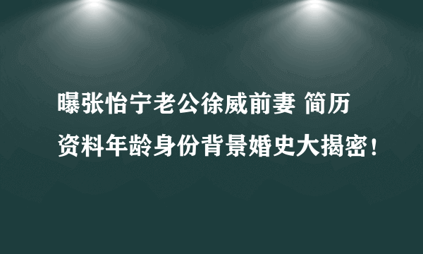 曝张怡宁老公徐威前妻 简历资料年龄身份背景婚史大揭密！