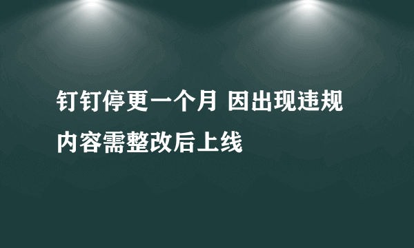 钉钉停更一个月 因出现违规内容需整改后上线