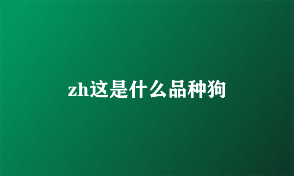 zh这是什么品种狗