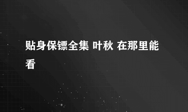 贴身保镖全集 叶秋 在那里能看