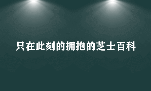 只在此刻的拥抱的芝士百科