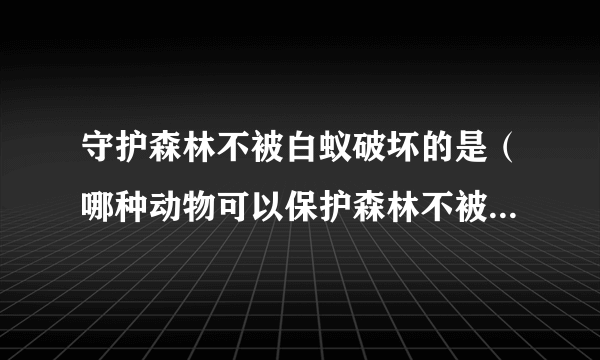 守护森林不被白蚁破坏的是（哪种动物可以保护森林不被白蚁破坏）