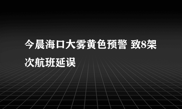 今晨海口大雾黄色预警 致8架次航班延误