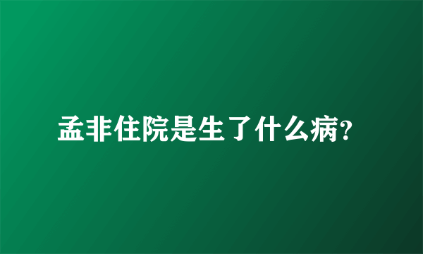 孟非住院是生了什么病？