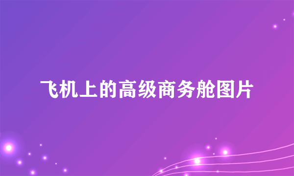 飞机上的高级商务舱图片