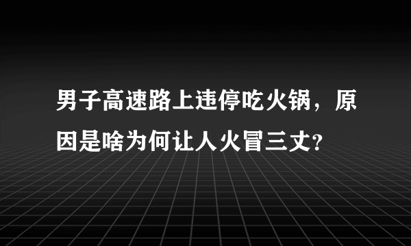 男子高速路上违停吃火锅，原因是啥为何让人火冒三丈？