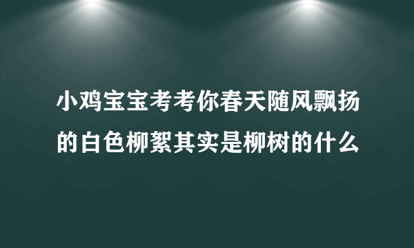 小鸡宝宝考考你春天随风飘扬的白色柳絮其实是柳树的什么