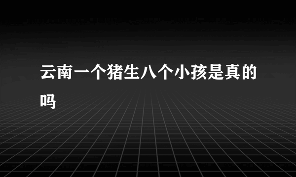 云南一个猪生八个小孩是真的吗