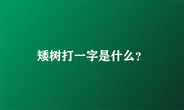 矮树打一字是什么？