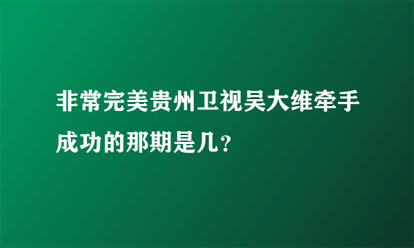 非常完美贵州卫视吴大维牵手成功的那期是几？