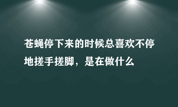 苍蝇停下来的时候总喜欢不停地搓手搓脚，是在做什么