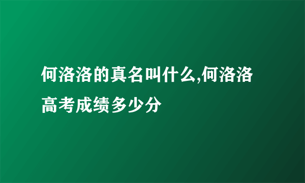 何洛洛的真名叫什么,何洛洛高考成绩多少分