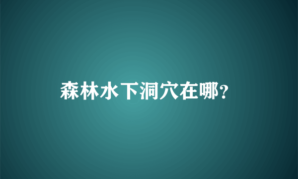 森林水下洞穴在哪？