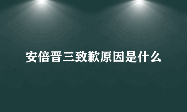 安倍晋三致歉原因是什么