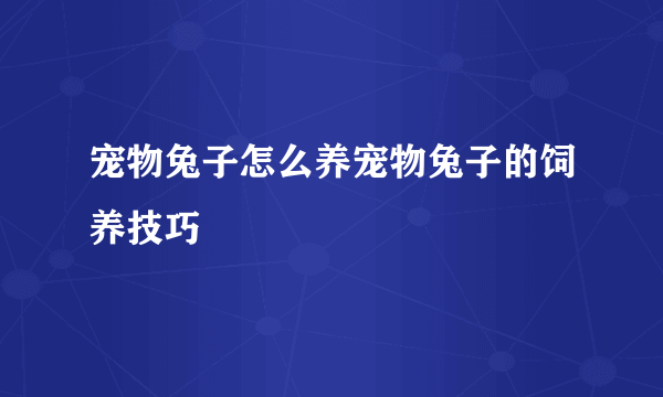 宠物兔子怎么养宠物兔子的饲养技巧