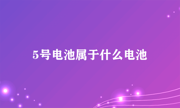 5号电池属于什么电池