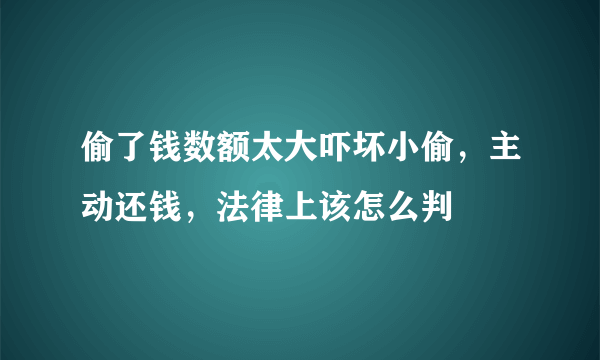 偷了钱数额太大吓坏小偷，主动还钱，法律上该怎么判