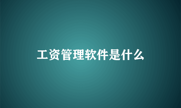 工资管理软件是什么