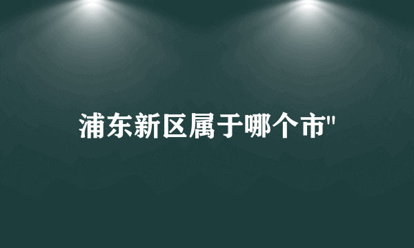 浦东新区属于哪个市