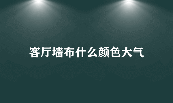 客厅墙布什么颜色大气