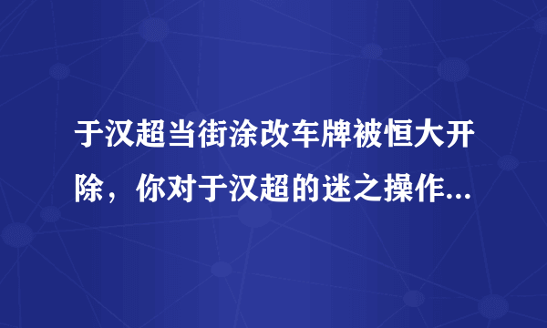 于汉超当街涂改车牌被恒大开除，你对于汉超的迷之操作怎么看？