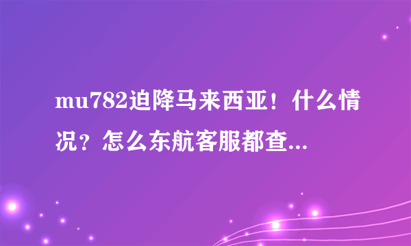 mu782迫降马来西亚！什么情况？怎么东航客服都查不到航班信息了？失踪了吗？